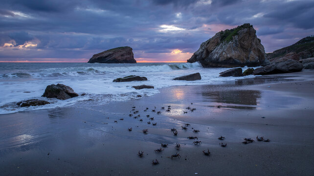 Waves batter rocks as crabs scuttle away