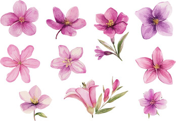 Obraz premium pink flowers seamless pattern