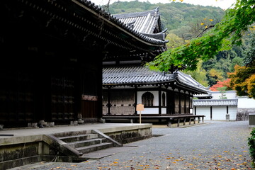 Obraz premium 日本、京都、泉涌寺、寺院、秋景、紅葉、黃葉
