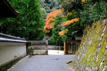 日本、京都、泉涌寺、寺院、秋景、紅葉、黃葉