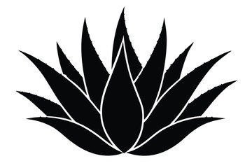 aloe vera plant silhouette vector illustration