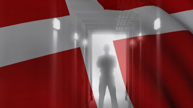 Silhouette standing in narrow corridor with Danish flag overlay, lights and pipes, flat design