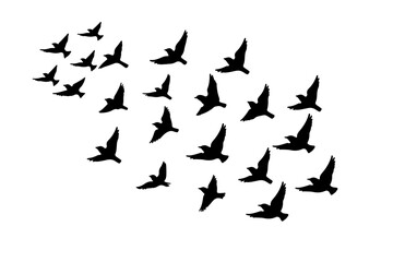 silhouette of birds vectors/Sparrow Silhouette