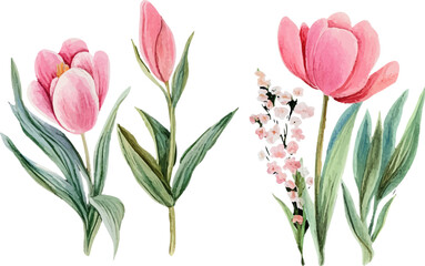 Obraz premium bouquet of pink tulips