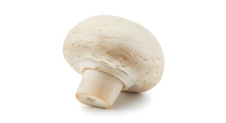 Fresh white button mushroom isolated