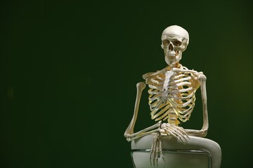 Artificial human skeleton model sitting and chair on green background, space for text