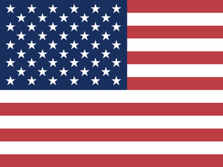 United States National Flag Vector