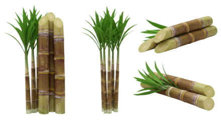 Sugarcane clusters stand out, showcasing green leaves atop the cut stalks on black background