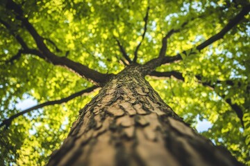 Naklejka premium Close up of tree trunk and leaves