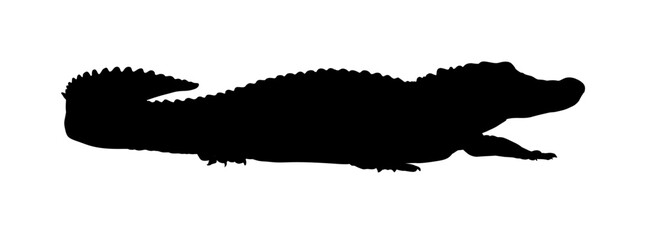 Alligator silhouette – vector illustration
