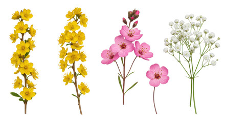Assorted flower bunches in yellow, pink, and white against a dark background