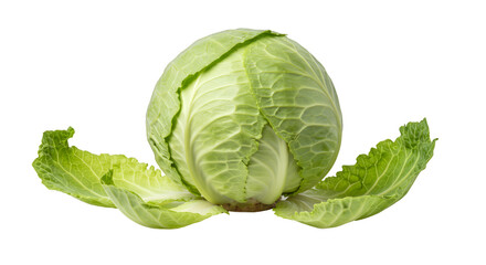 Fresh green cabbage on a black background for healthy eating concept