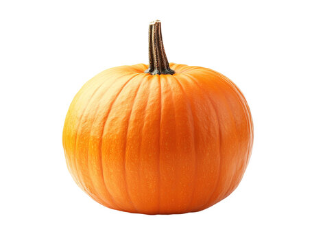 Small yellow pumpkin with green stem on white background, stems, tiny pumpkins - Powered by Adobe