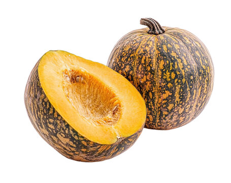 Small yellow pumpkin with green stem on white background, stems, tiny pumpkins
