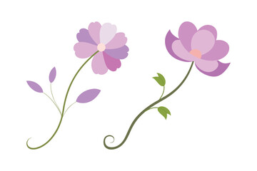 Set of cosmos flower vector art illustration