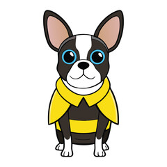 Obraz premium Adorable Boston Terrier dressed as a buzzing bee, complete with tiny wings and striped costume, bringing cuteness and charm to any fun or festive occasion! 