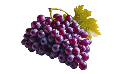 Fototapeta premium Fresh purple grapes with green leaf on black background studio shot