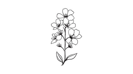 Larkspur line art black ink drawing of wildflower beauty