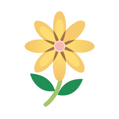 The Ultimate Guide to Growing Beautiful Flowers in Your Garden