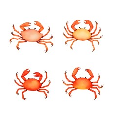 Set of Crab Shellfish icon Aquatic Crustacean Marine Wildlife Claw Fish Seafood Aquarium Cancer Sign Animal Watercolor Illustration