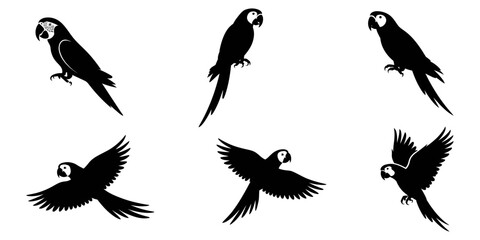 10 Parrot Silhouette Vector Set, Tropical Parrot Silhouette in Minimalist Style, A big collection of Parrot silhouette set, Parrot silhouette logo isolated on white background, Set of silhouettes.
