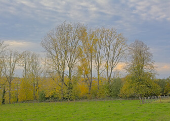  Flemish autumn landscape with fields and meadows and trees in Munkzawlm, Flanders, Belgium
