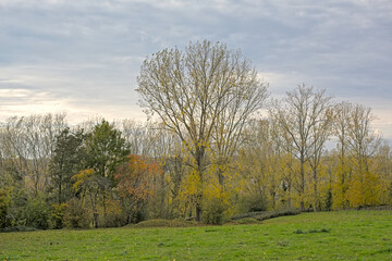  Flemish autumn landscape with fields and meadows and trees in Munkzawlm, Flanders, Belgium