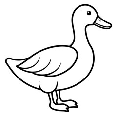 Modern Duck Line Drawing