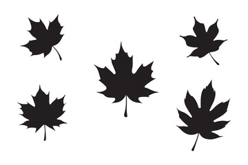 set of Silhouette maple leaves