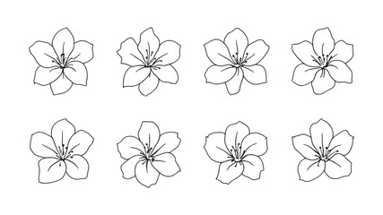 Tuberose line art minimalist design perfect for botanical artwork