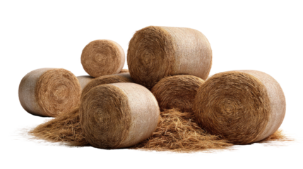 Golden Harvest Bounty: A collection of round hay bales, remnants of a plentiful harvest, rest against a neutral backdrop, ready for agricultural applications, representing sustenance and rustic charm.