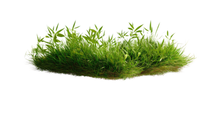 Fresh Greenery: A cluster of vibrant green grass stands out, offering a fresh and natural feel. This image can bring a touch of nature.