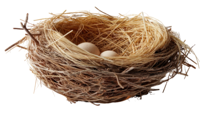 The Nest: The natural embrace of a nest, meticulously woven from twigs and fibers, cradles a precious pair of eggs, evoking themes of life, renewal, and the tender care of new beginnings.