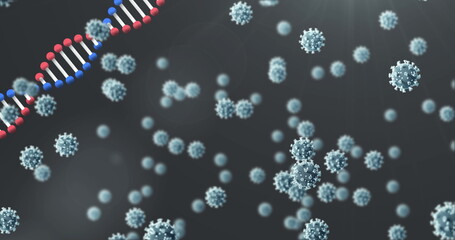 Image of dna strand spinning over covid 19 cells falling on dark background