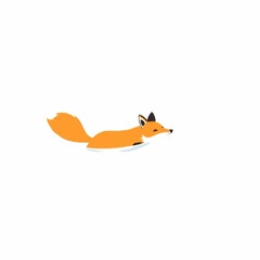 Swift Curious Fox Swimming in a Ocean