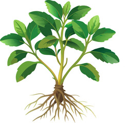 watercolor herb plant with roots isolated on white background. green tree isolated on white background