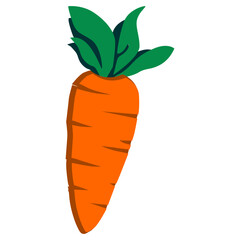 vector illustration of a carrot
