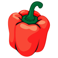 red bell pepper isolated
