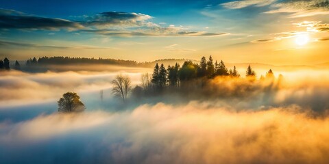 Obraz premium Ethereal Fog Background: Misty White and Gray Landscape with Gentle Light Glow