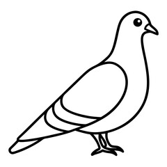 Modern Pigeon Outline Vector