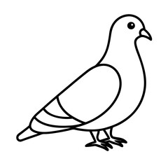 Modern Pigeon Outline Vector