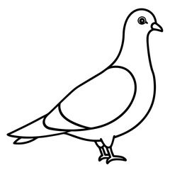 Modern Pigeon Outline Vector