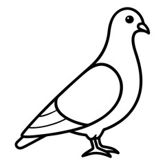 Modern Pigeon Outline Vector