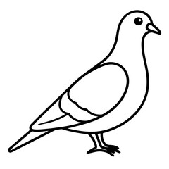 Modern Pigeon Outline Vector