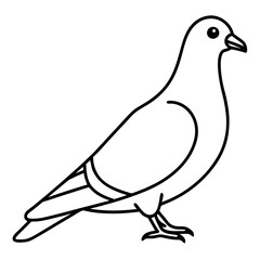 Modern Pigeon Outline Vector