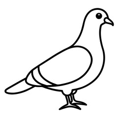 Modern Pigeon Outline Vector