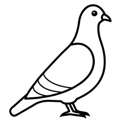 Modern Pigeon Outline Vector