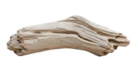 Driftwood lies weathered; a bleached, twisted form. Grainy, natural, & isolated