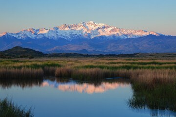 Diagonal View of Snow-Capped Crater Mountain at Dawn in the Andes. Reflected in Wetland Marsh Grasslands with Clear Sky, Plain Terrain, and Peaceful Highland Scenery