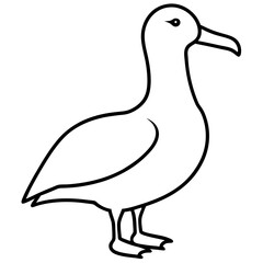 Simple Albatross Vector Drawing